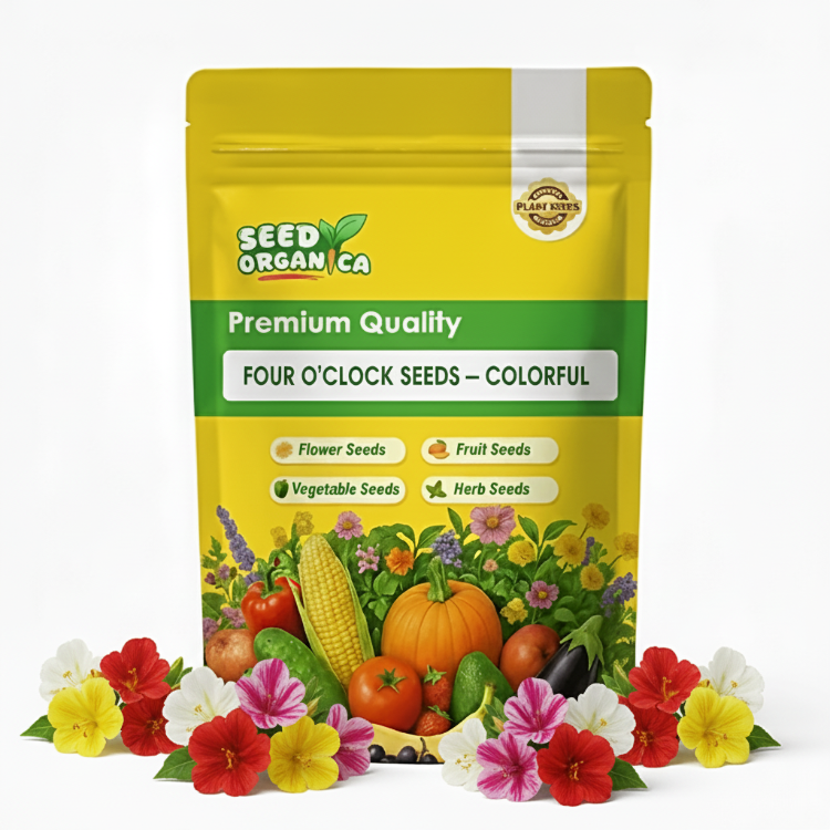 Four O'Clock Seeds – Colorful