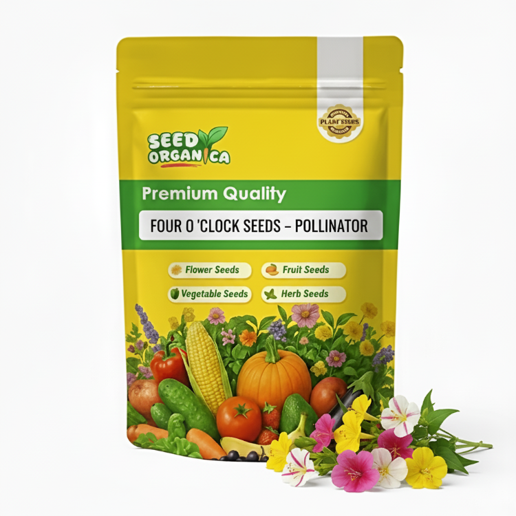 Four O 'Clock Seeds – Pollinator