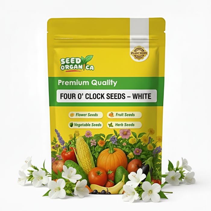 Four O'Clock Seeds – White