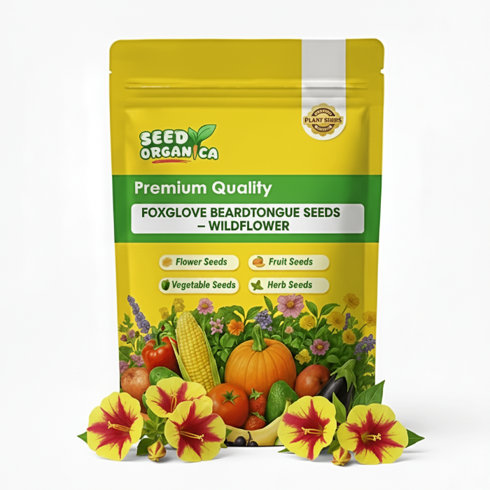 Foxglove Beardtongue Seeds – Wildflower