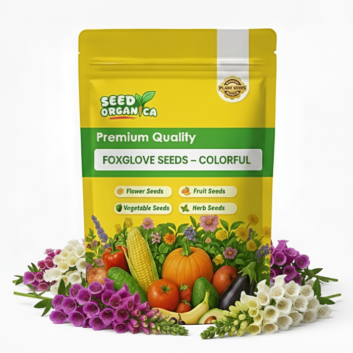 Foxglove Seeds – Colorful