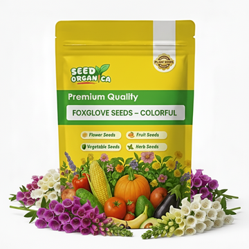Foxglove Seeds – Colorful