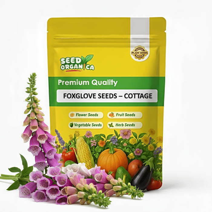 Foxglove Seeds – Cottage