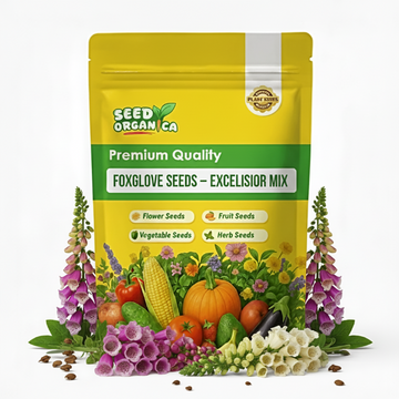 Foxglove Seeds – Excelsior Mix