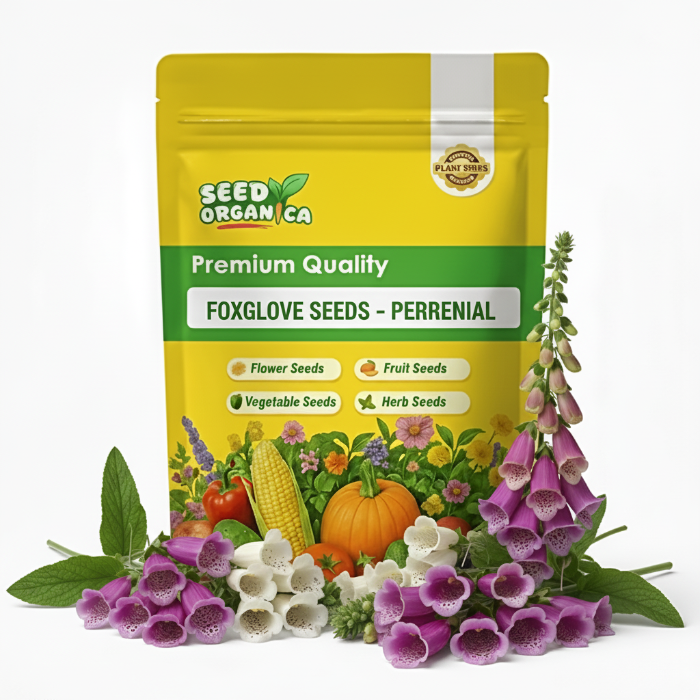 Foxglove Seeds – Perennial