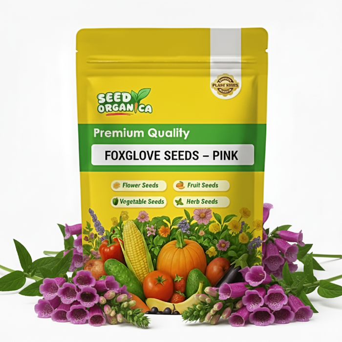 Foxglove Seeds – Pink