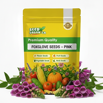Foxglove Seeds – Pink