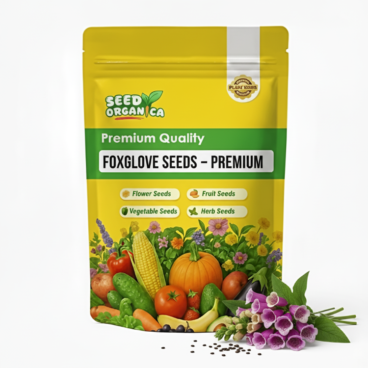 Foxglove Seeds – Premium