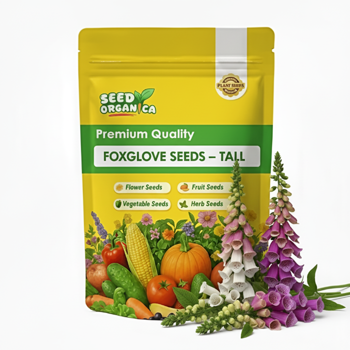 Foxglove Seeds – Tall