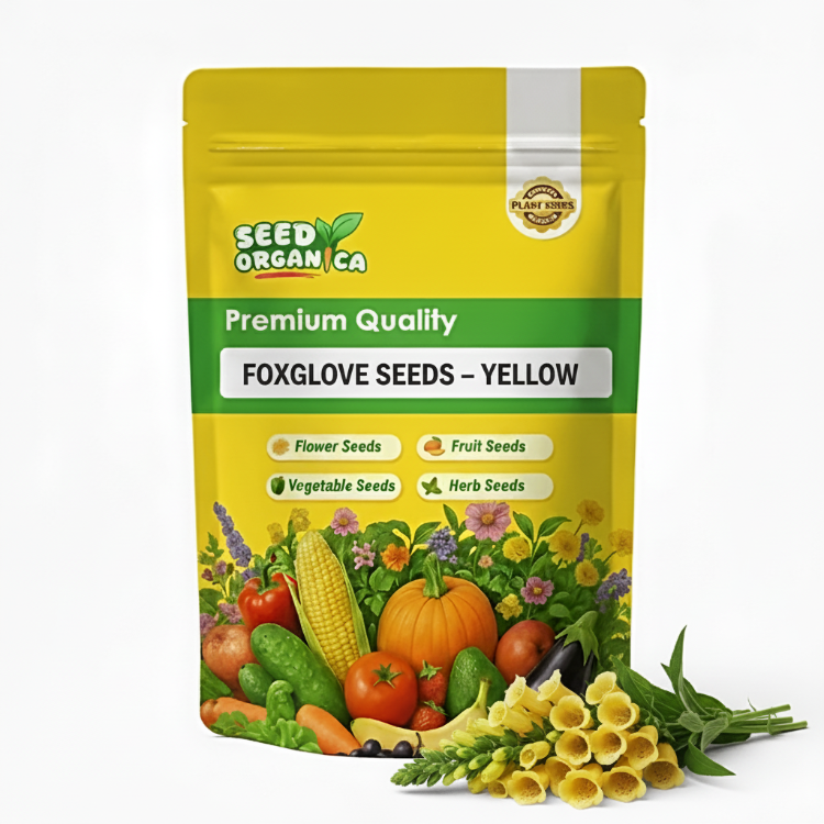 Foxglove Seeds – Yellow