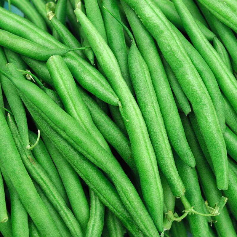 French Bean Seeds – Slenderette Green