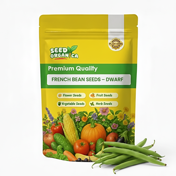 French Bean Seeds – Dwarf