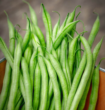 French Bean Seeds – Slenderette Green