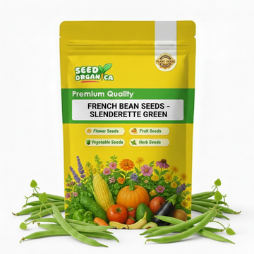 French Bean Seeds – Slenderette Green