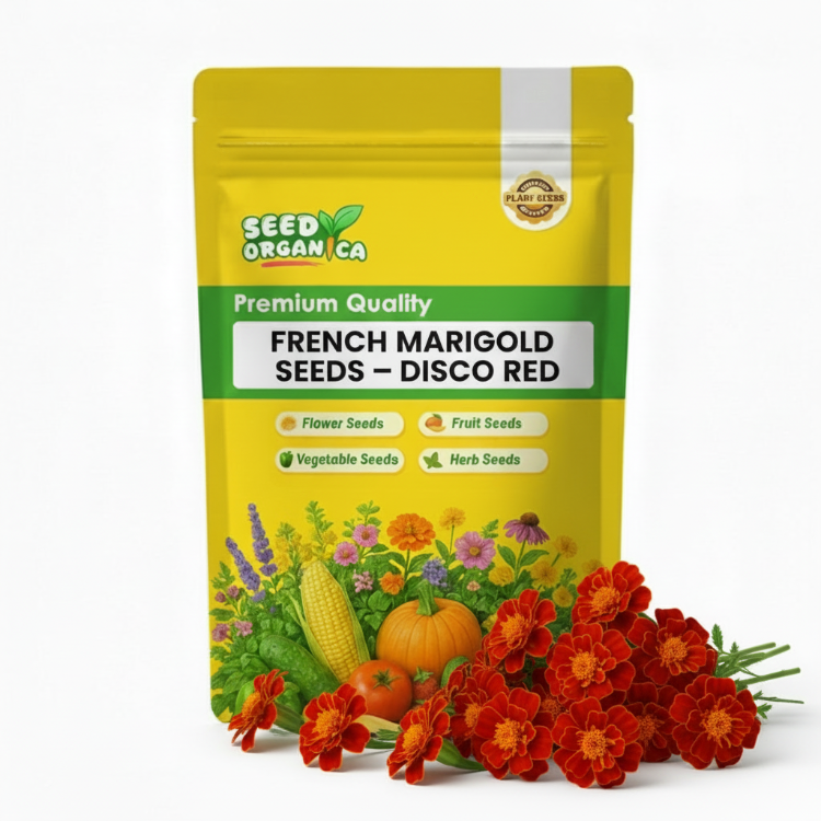 French Marigold Seeds – Disco Red