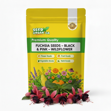 Fuchsia Seeds – Black & Pink – Wildflower