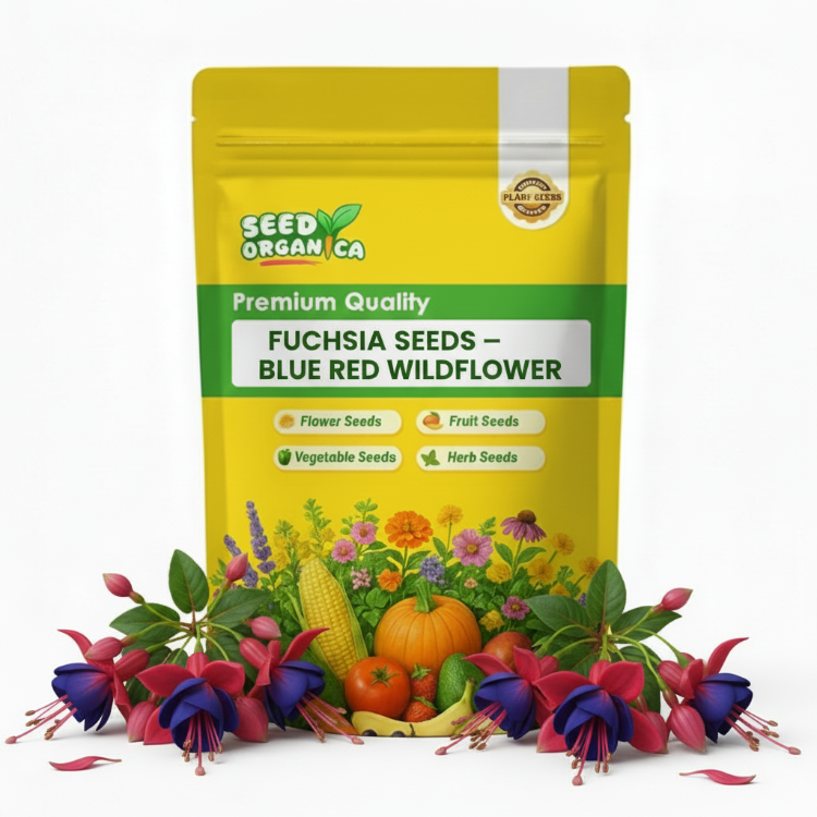 Fuchsia Seeds – Blue Red wildlflower
