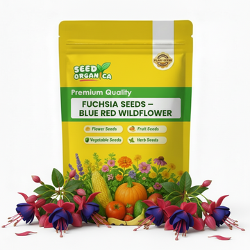 Fuchsia Seeds – Blue Red wildlflower