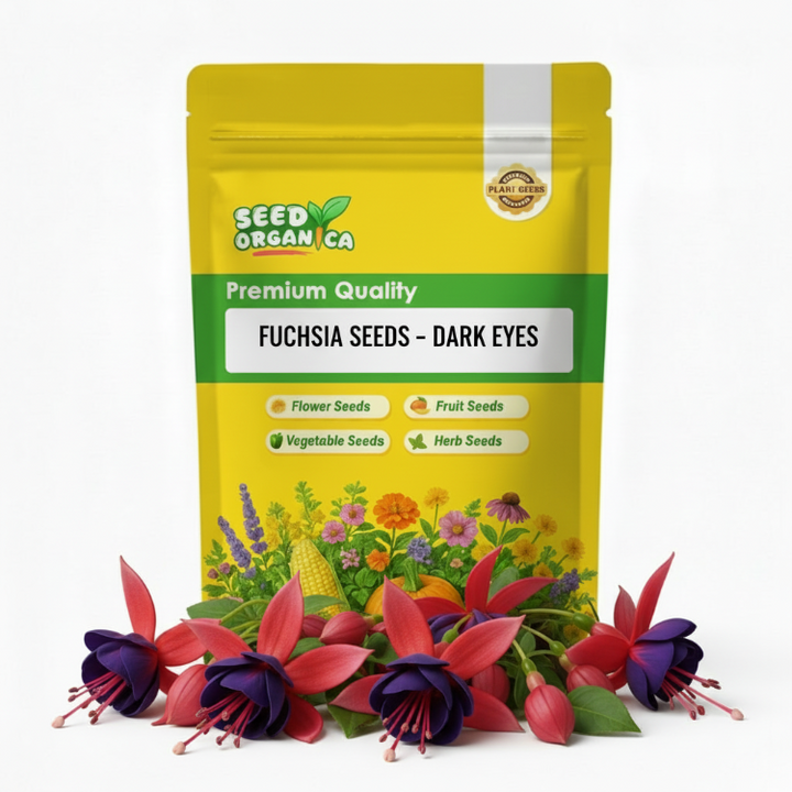 Cool Review About Buy Fuchsia Seeds