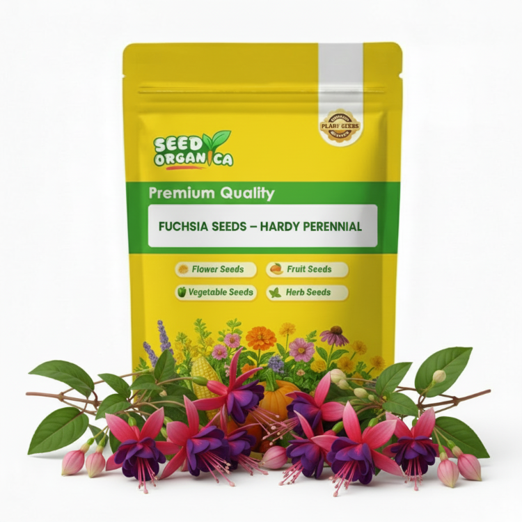 Cool Review About Buy Fuchsia Seeds