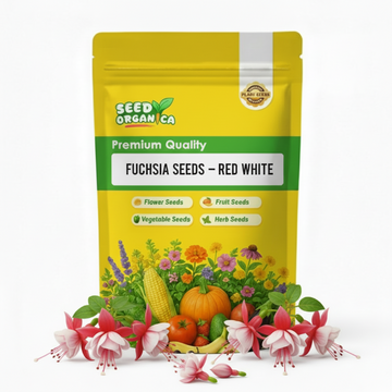 Fuchsia Seeds – Red White