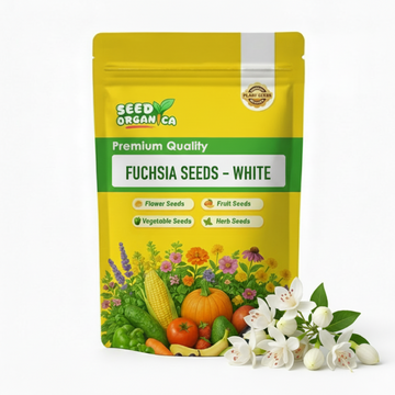 Fuchsia Seeds – White