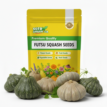 Futsu Squash Seeds