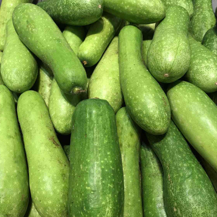 Fuzzy Gourd Seeds - Vegetable Plant