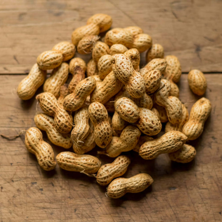 Garden Peanuts Seeds