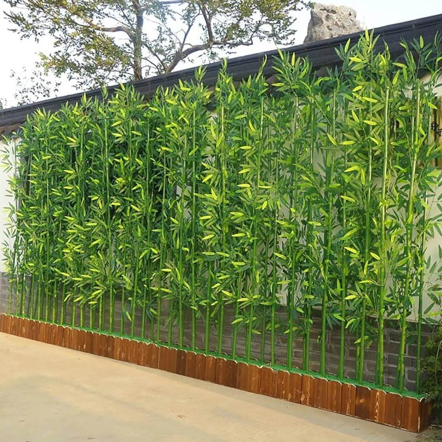 Garden Privacy Bamboo Seeds