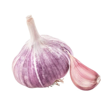 Garlic Seeds- Light Purple