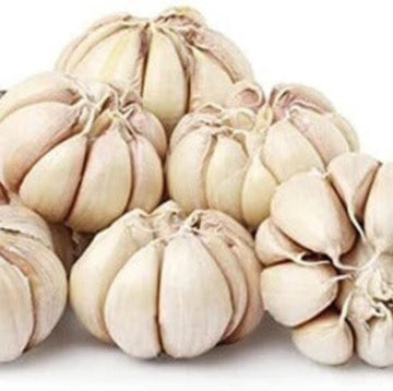 Garlic Seeds
