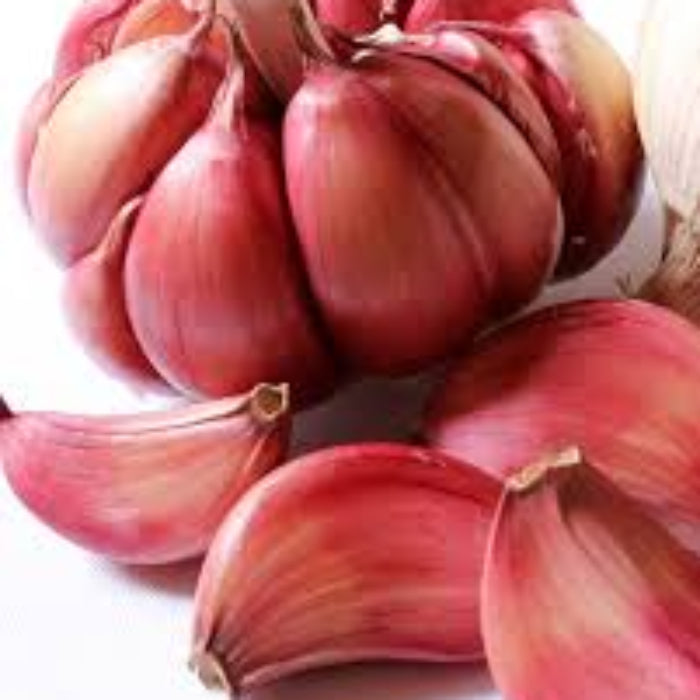 Garlic Vegetable Seeds- Red variety
