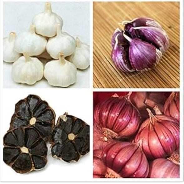 Garlic Vegetable Seeds- Mixed colour