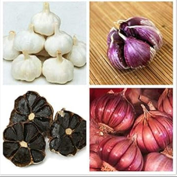 Garlic Vegetable Seeds- Mixed colour