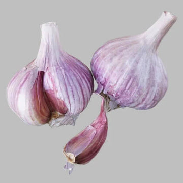 Garlic Vegetable Seeds- Purple White