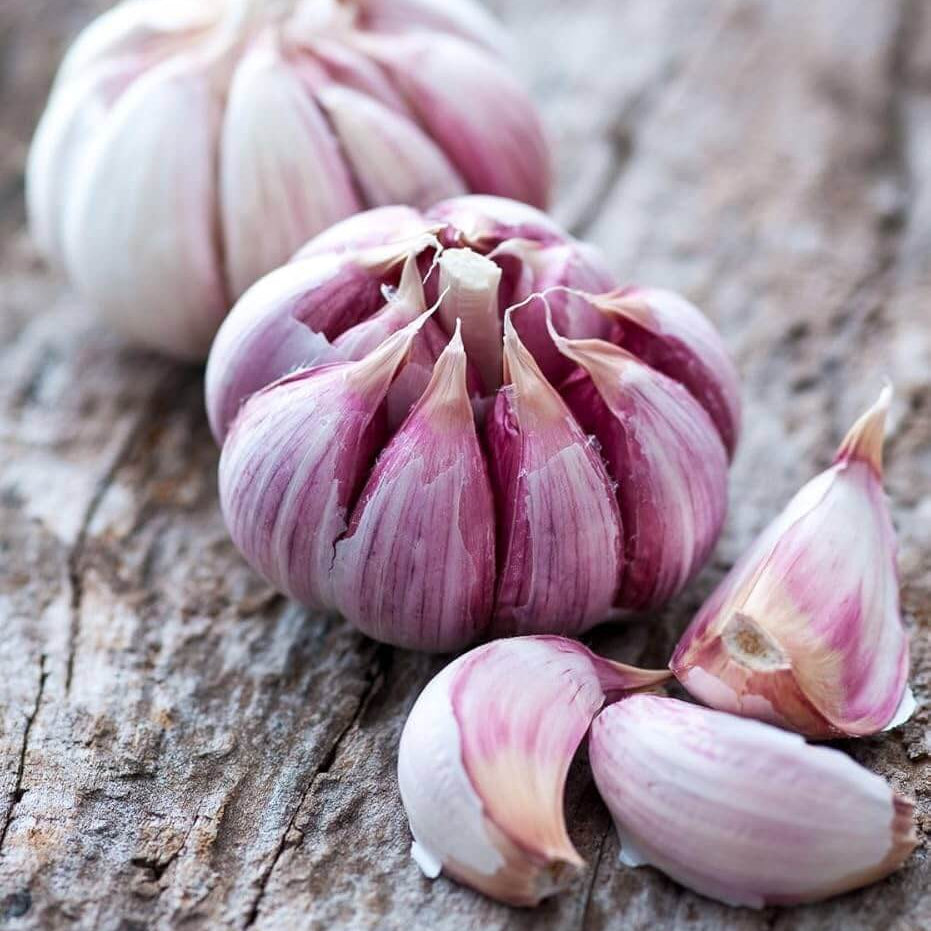 Garlic Vegetable Seeds- Mixed colour