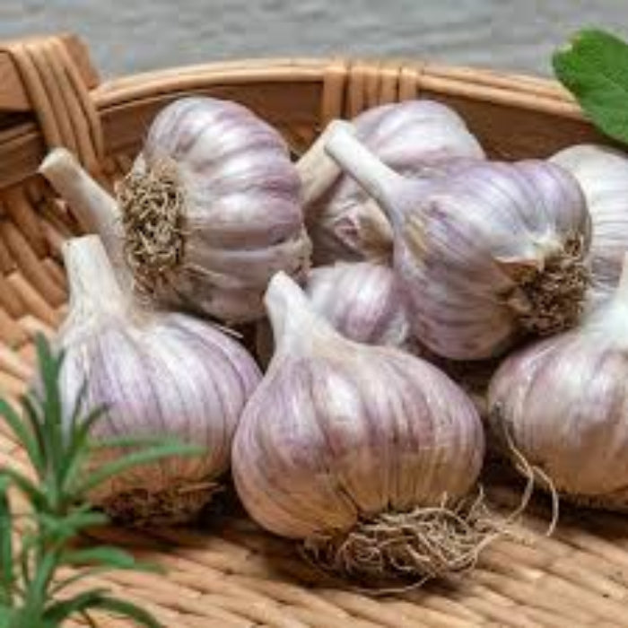 Garlic Vegetable Seeds- Purple White