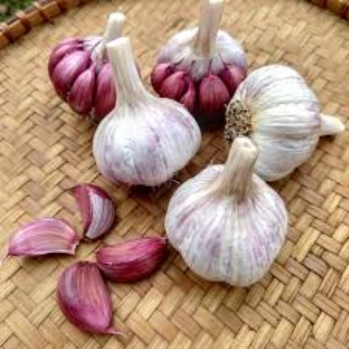 Garlic Vegetable Seeds- Red variety