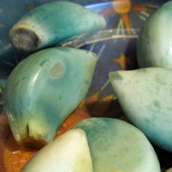 Garlic Vegetable Seeds- Sky Blue 