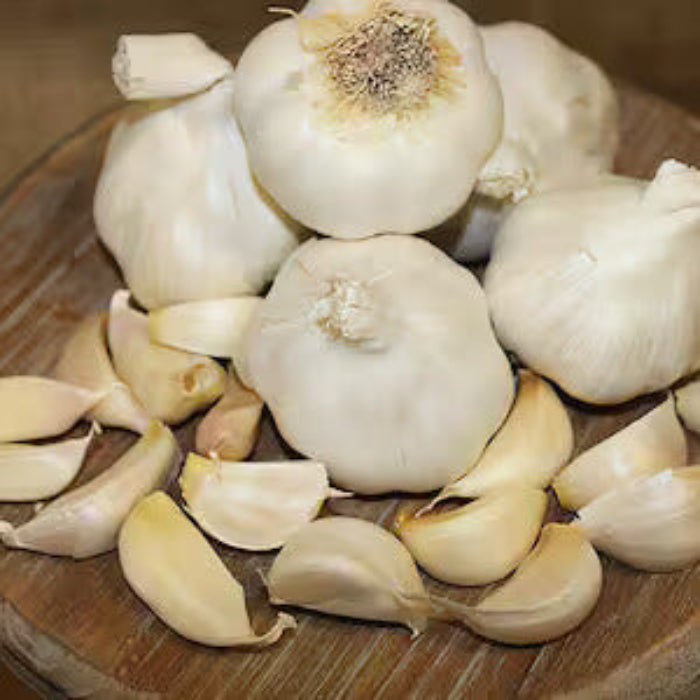 Garlic Vegetable Seeds- Softneck Artichok