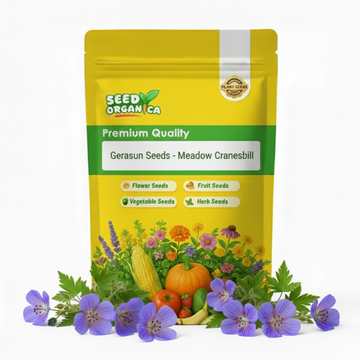 Geranium Seeds - Meadow Cranesbill