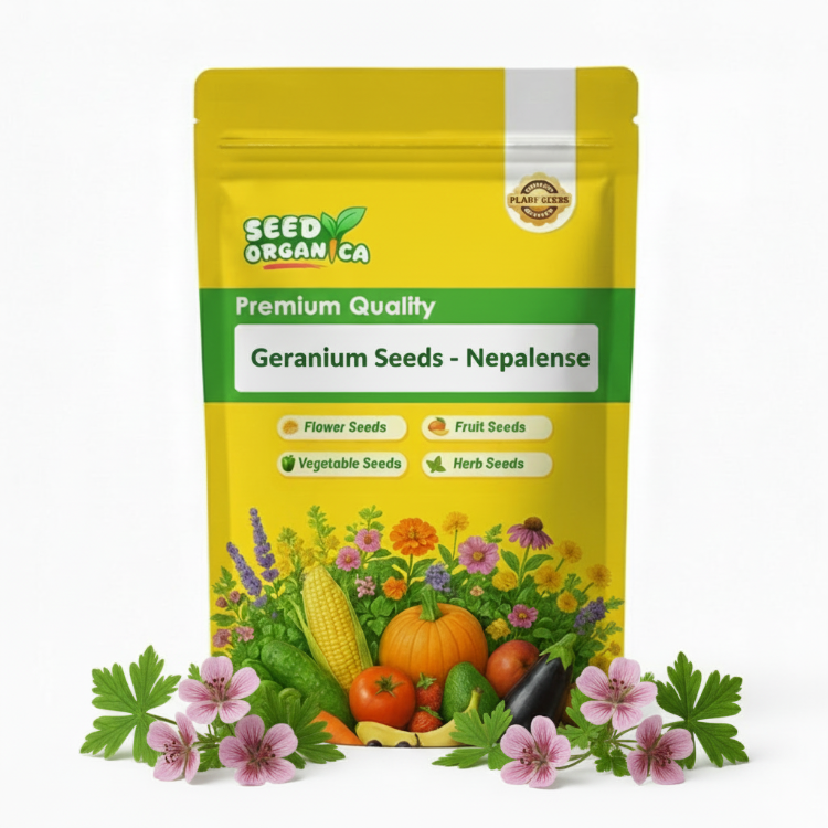 Geranium Seeds - Nepalense