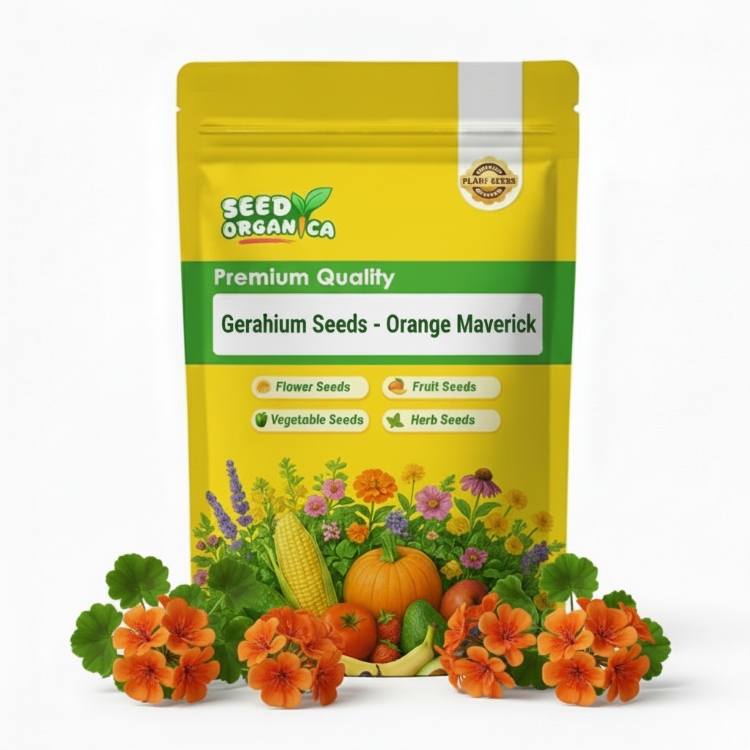 Geranium Seeds - Orange Maverick