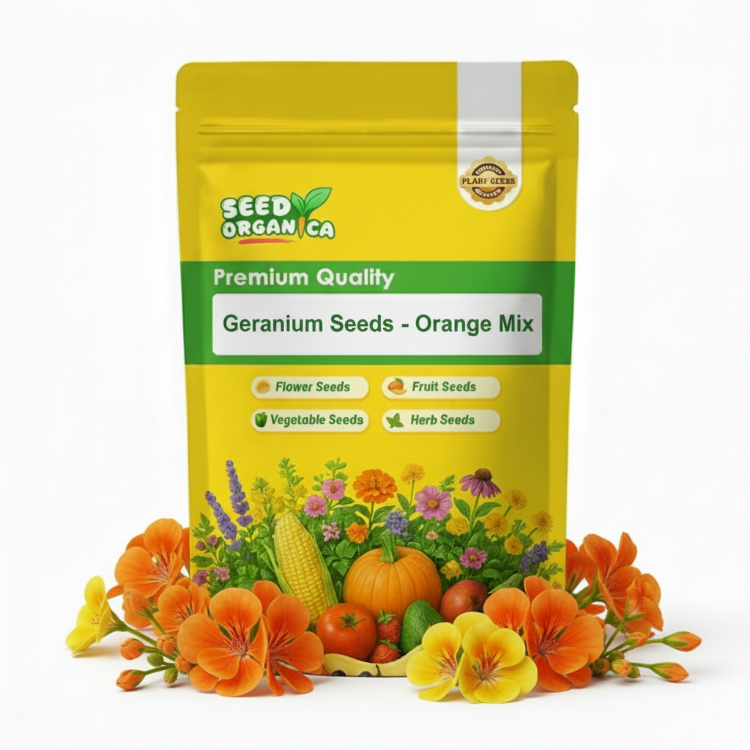 Geranium Seeds - Orange Mix