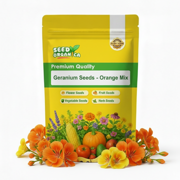 Geranium Seeds - Orange Mix