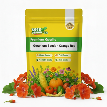 Geranium Seeds - Orange Red