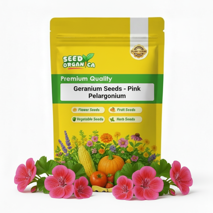 Geranium Seeds - Pink Pelargonium