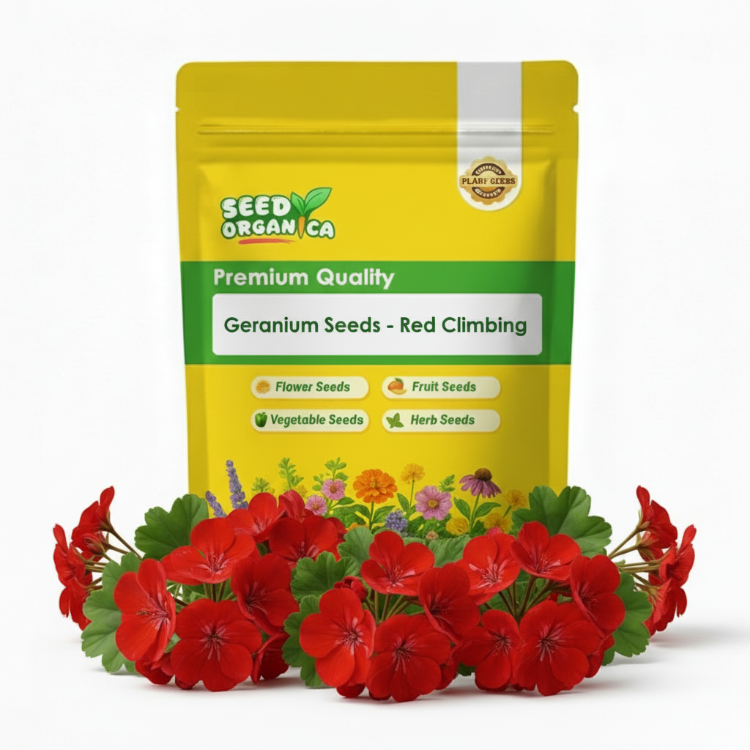 Geranium Seeds - Red Climbing