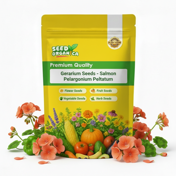 Geranium Seeds - Salmon Pelargonium Peltatum